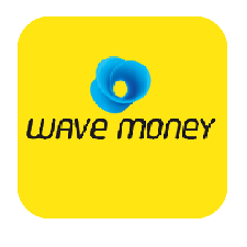 wave_pay
